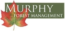 Murphy Forest Management