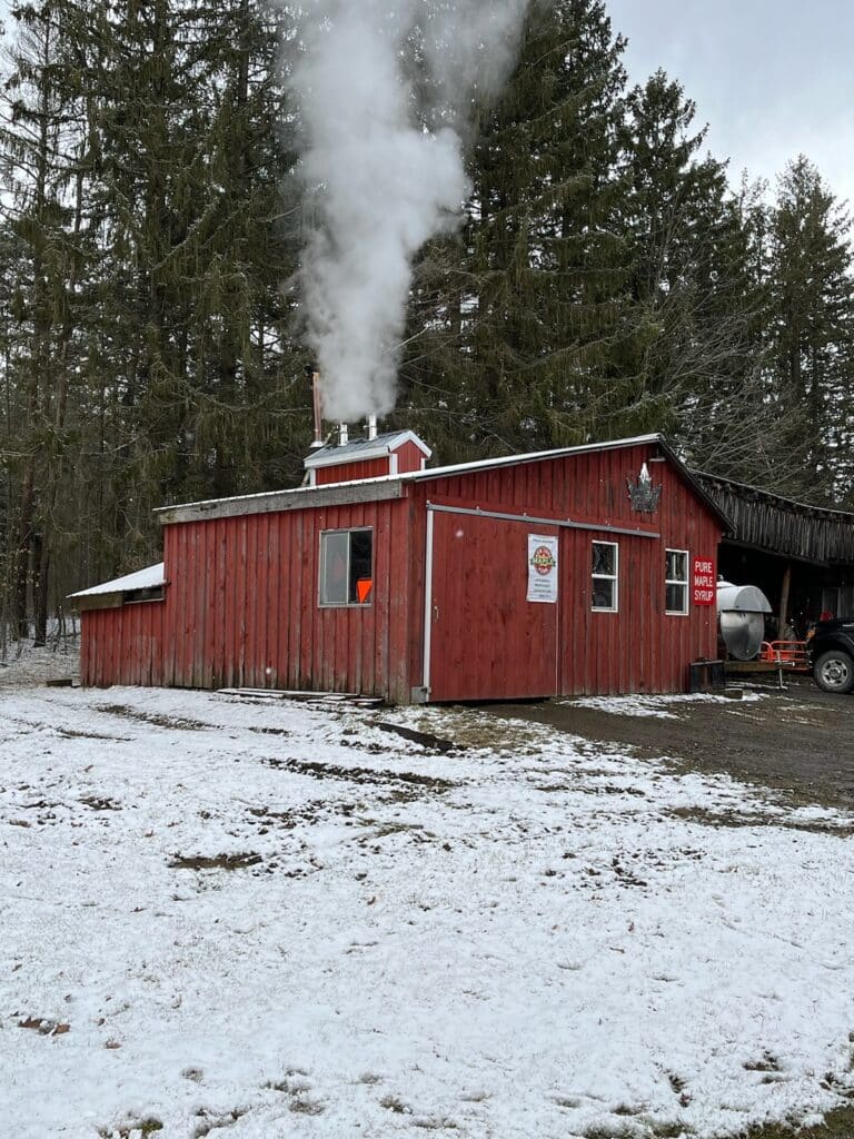 Hill Top Maple Farm